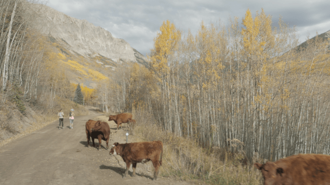 5WhP3BHHa5fPOj5z3kMZFxLGmrWGxY8y4c0fBs7QkGI